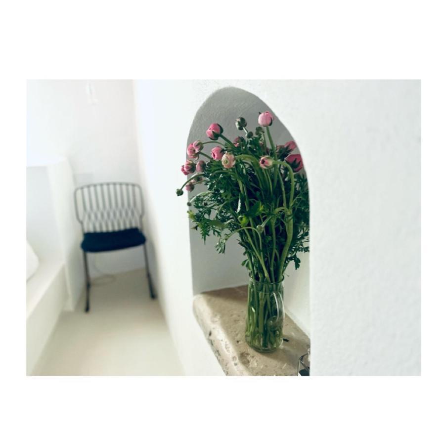אקואוויווה דלה פונטי Hydria Guest House Art Gallery מראה חיצוני תמונה