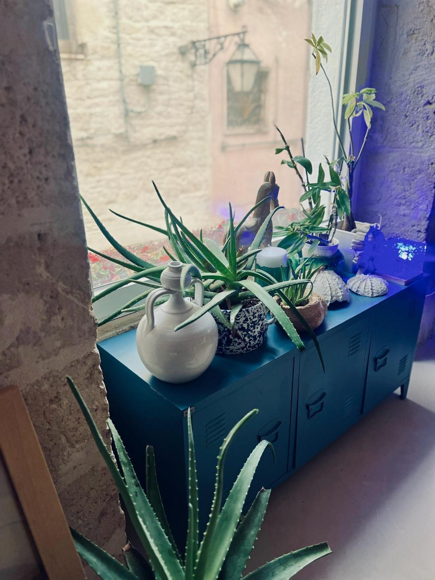 אקואוויווה דלה פונטי Hydria Guest House Art Gallery מראה חיצוני תמונה